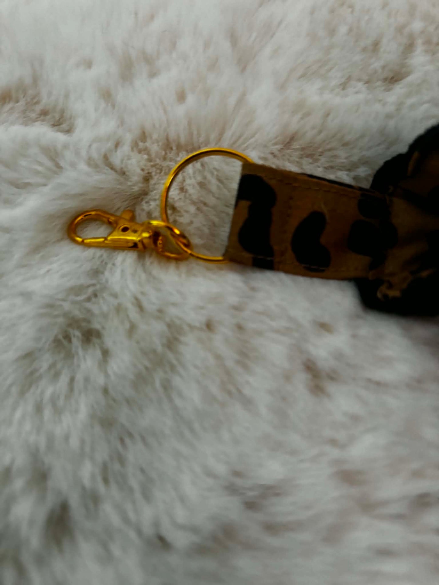 Étui à lunettes leopard
