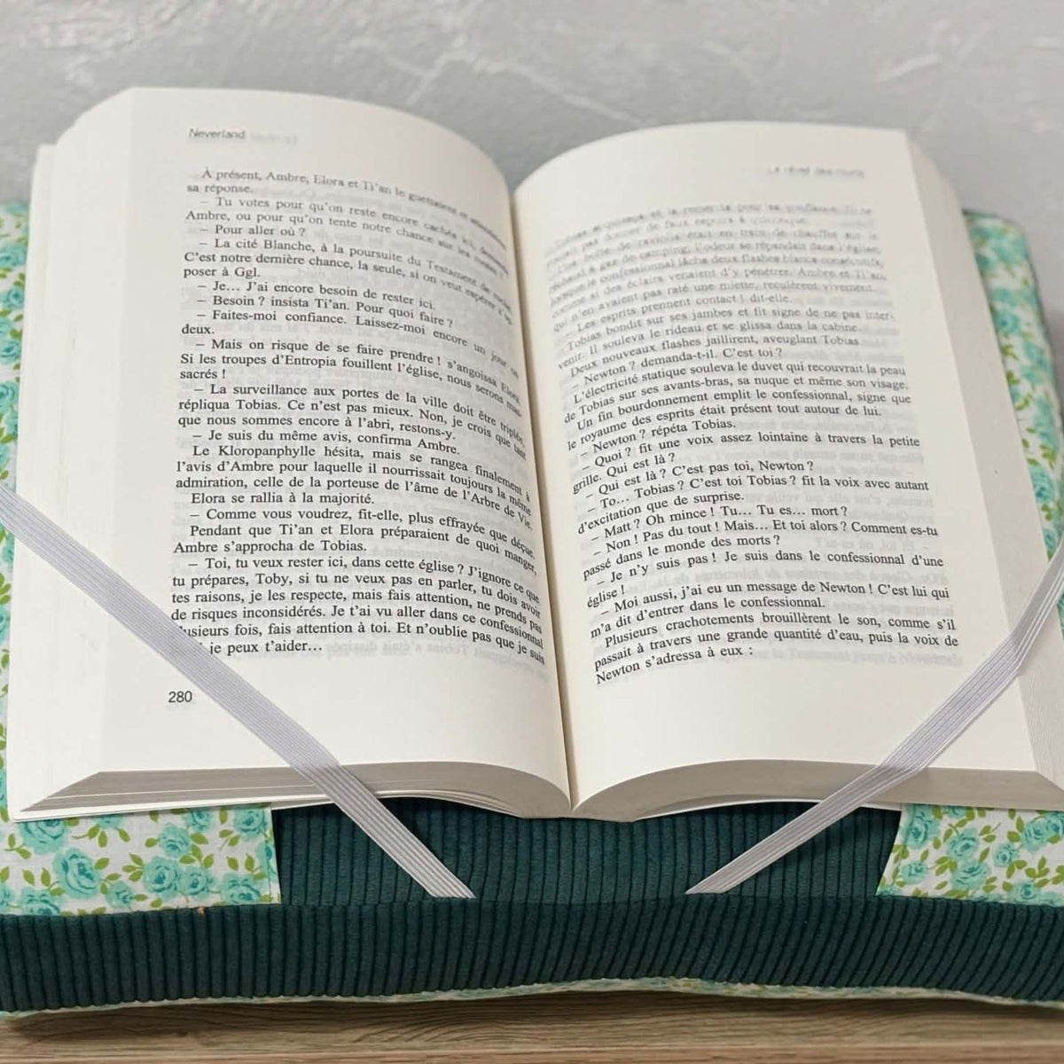Le coussin de lecture